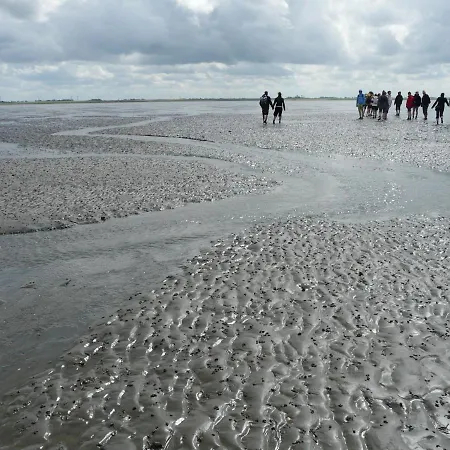 Unterdeck Muschelweg Norden
